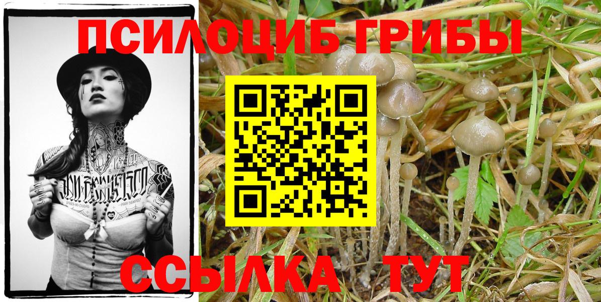 Железноводск  ГАШИШ  Лсд 25  A-PVP СОЛЬ   Купить наркотики цена  Гашиш  Мефедрон   Вход с VPN  Кокаин 