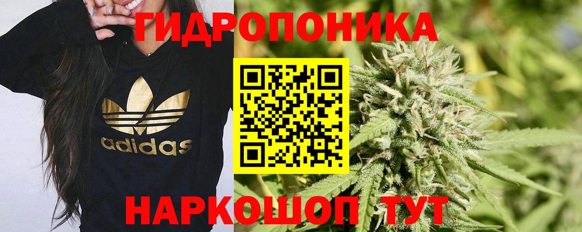 Конопля AK-47  Бошки Шишки сатива  Каннабис White Widow  Марихуана Bruce Banner  Железноводск  Вход с VPN 